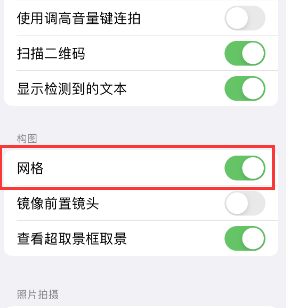 樟树苹果手机维修网点分享iPhone如何开启九宫格构图功能