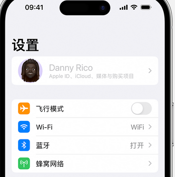 樟树appleID维修服务iPhone设置中Apple ID显示为灰色无法使用 