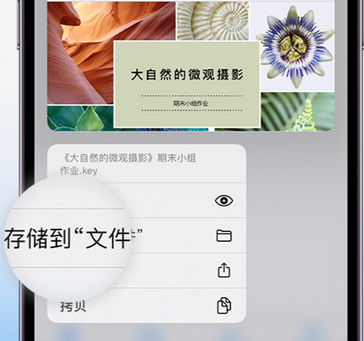 樟树apple维修中心分享iPhone文件应用中存储和找到下载文件