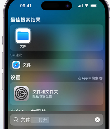 樟树apple维修中心分享iPhone文件应用中存储和找到下载文件