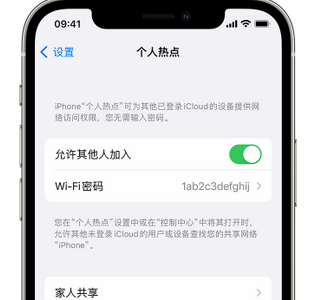 樟树apple服务站点分享iPhone上个人热点丢失了怎么办 