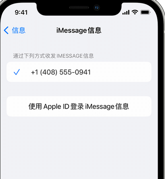 樟树apple维修iPhone上无法正常发送iMessage信息 