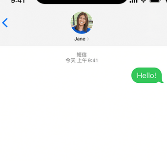 樟树apple维修iPhone上无法正常发送iMessage信息