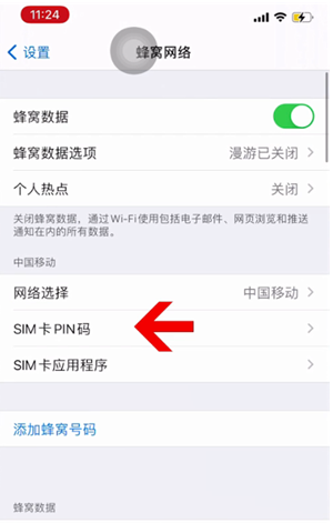 樟树苹果14维修网分享如何给iPhone14的SIM卡设置密码 