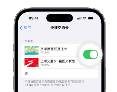 樟树apple维修点分享iPhone上更换Apple Pay快捷交通卡手绘卡面 