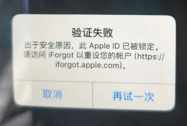 樟树iPhone维修分享iPhone上正常登录或使用AppleID怎么办 