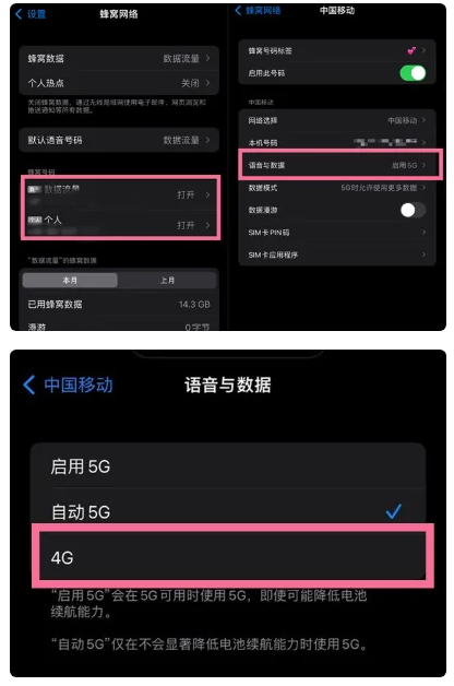 樟树苹果手机维修分享iPhone14如何切换4G/5G? iPhone14 5G网络切换方法 