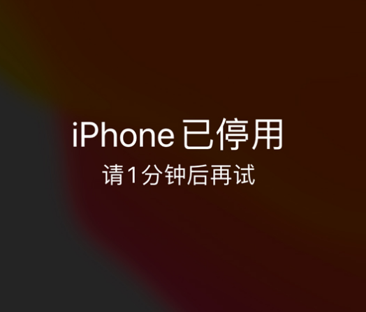 樟树苹果手机维修分享:iPhone 显示“不可用”或“已停用”怎么办？还能保留数据吗？ 