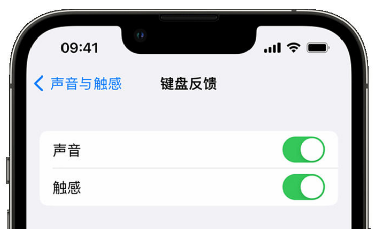 樟树苹果手机维修分享iPhone 14触感键盘使用方法 