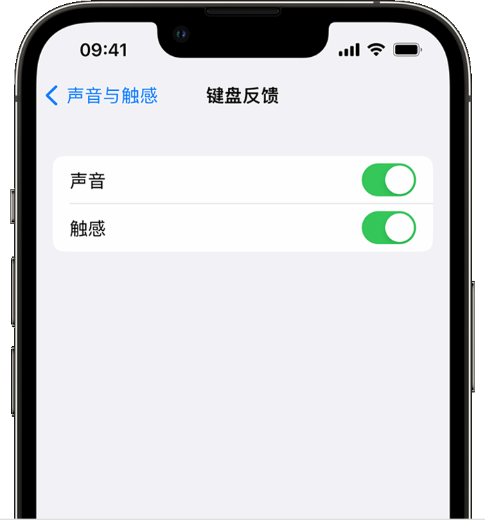 樟树苹果14维修店分享如何在 iPhone 14 机型中使用触感键盘 