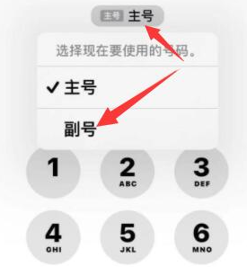 樟树苹果14维修店分享iPhone 14 Pro Max使用副卡打电话的方法 