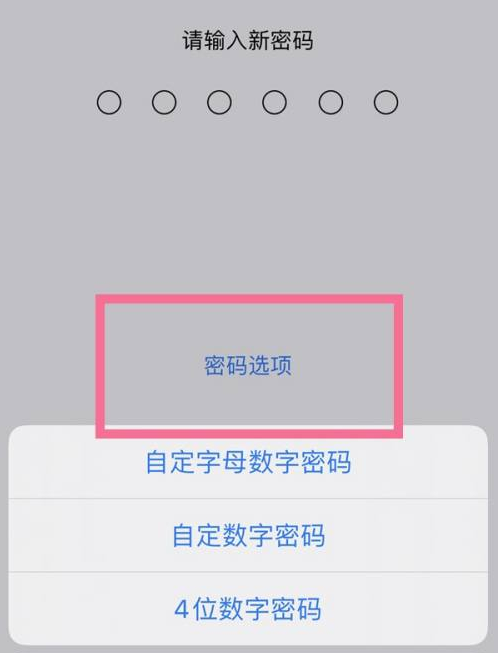 樟树苹果14维修分享iPhone 14plus设置密码的方法 