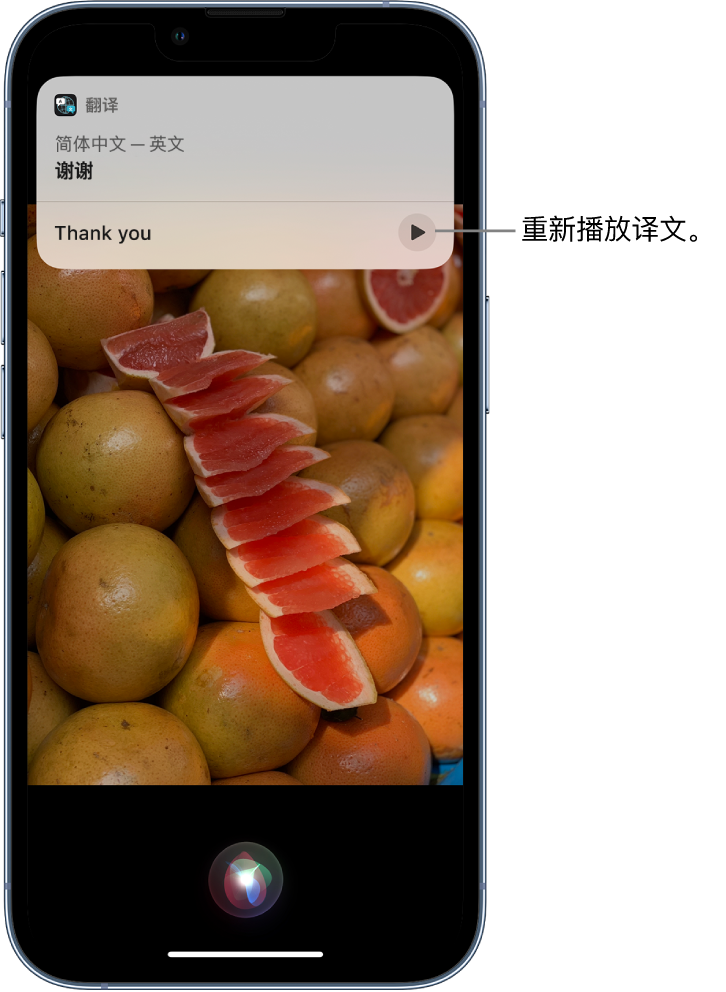 樟树苹果14维修分享 iPhone 14 机型中使用 Siri：了解 Siri 能帮你做什么 