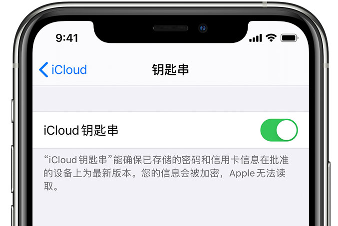 樟树苹果手机维修分享在 iPhone 上开启 iCloud 钥匙串之后会储存哪些信息 