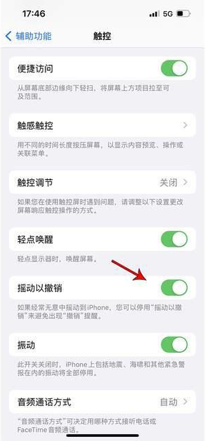 樟树苹果手机维修分享iPhone手机如何设置摇一摇删除文字 