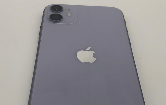 樟树苹果11系统维修分享iPhone11手机系统崩溃无法开机如何解决