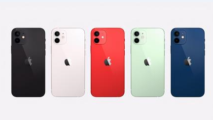 樟树苹果维修点分享iPhone 12锁屏密码系统机制科普 