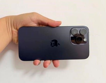 樟树苹果维修点分享iPhone 14 Pro Max发烫多重诱因剖析 